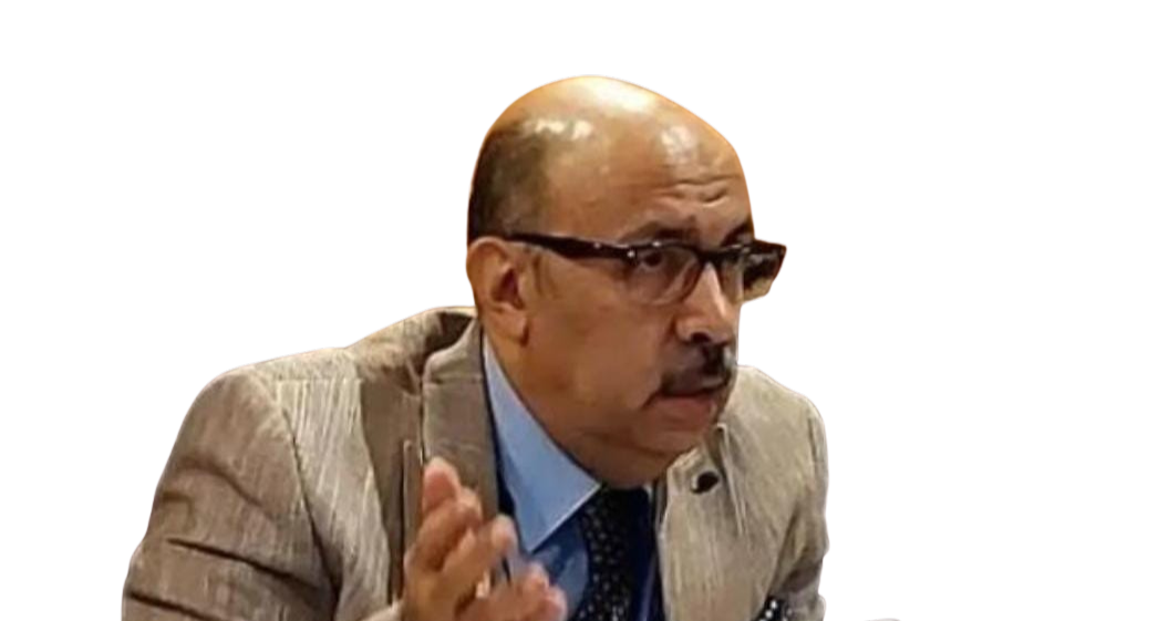 Mohamed Zein El-Din