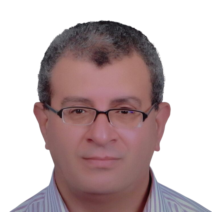 Osama Arafa